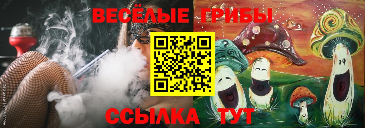 Грязи  Галлюциногенные грибы мицелий  Вход с VPN 