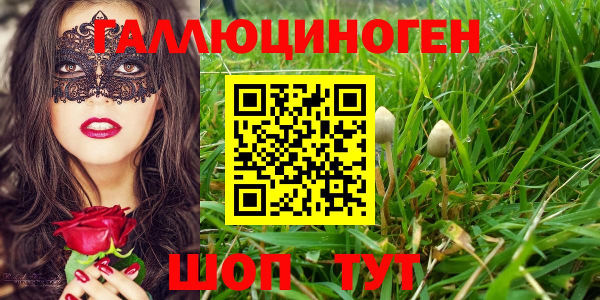 Псилоцибиновые грибы Magic Shrooms Грязи